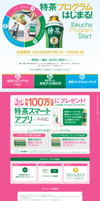 Tokucha Program LP design (Internet service / Green tones / Lively type) PC version