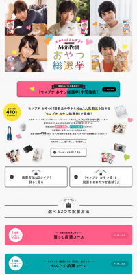 Snack General Election LP design (Services, Insurance, and Finance / yellow / Cute style) PC version