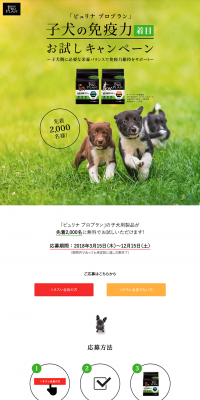 Focus on your puppy's immunity! Trial Campaign LP design (Services, Insurance, and Finance / Green tones / Simple) PC version