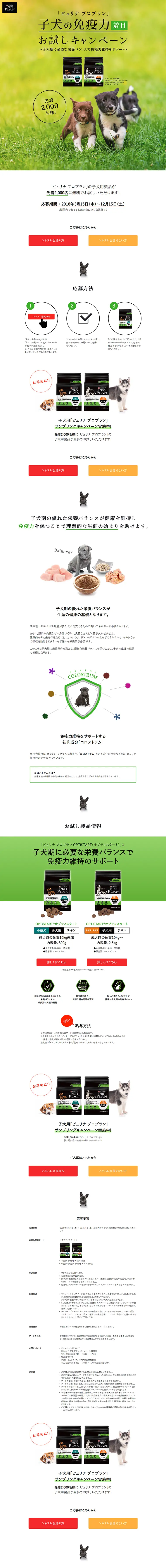 子犬の免疫力着目！お試しキャンペーンのLPデザイン（サービス・保険・金融／グリーン系／シンプル系）PC版