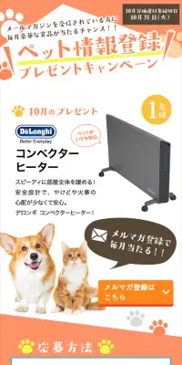 ペット情報登録プレゼントキャンペーン！のLPデザイン（サービス・保険・金融／オレンジ系／かわいい系）スマホ版