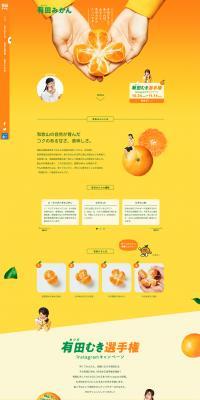 Ariamuki Championship LP design (Internet service / Orange tones / Simple) PC version