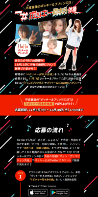 Pocky Stick Count Exercise LP design (Services, Insurance, and Finance / Black-colored / Arts) PC version