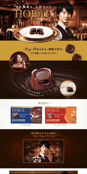 Hobal LP design (Sweets and Snacks / Gold tones / Refined style) PC version