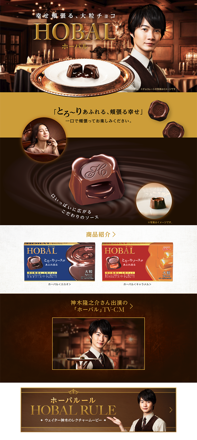 Hobal LP design (Sweets and Snacks / Gold tones / Refined style) PC version