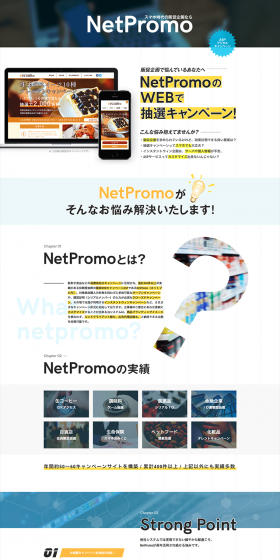 NetPromo LP design (Services, Insurance, and Finance / yellow / Refined style) PC version