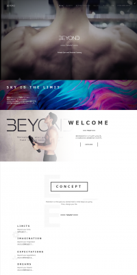 Private Gym LP design (Businesses, companies, stores / Black-colored / Simple) PC version