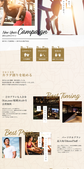 New Year Campaign 2019 LP design (Businesses, companies, stores / Beige tones / Simple) PC version