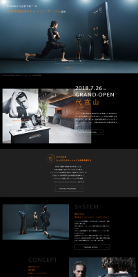 EMS Training Gym LP design (Businesses, companies, stores / Orange tones / Simple) PC version