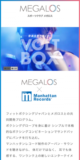 VOLTBOXのLPデザイン（サービス・保険・金融／ブルー系／かっこいい系）スマホ版