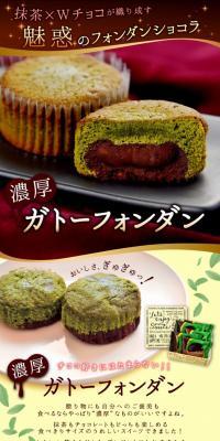 Rich Matcha and Chocolate Two-Layered Gateau Fondant LP design (Sweets and Snacks / Green tones) PC version