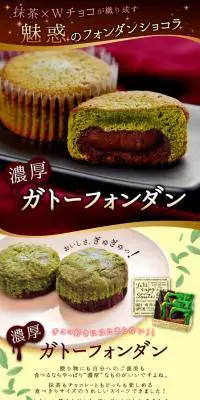 濃厚抹茶とチョコの２層ショコラ　ガトーフォンダンのLPデザイン（スイーツ・スナック菓子／グリーン系）PC版