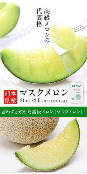 Kumamoto-grown Musk Melon LP design (food / Green tones / Simple) PC version