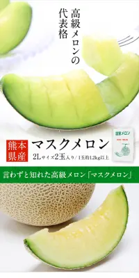 熊本産 マスクメロンのLPデザイン（食品／グリーン系／シンプル系）スマホ版