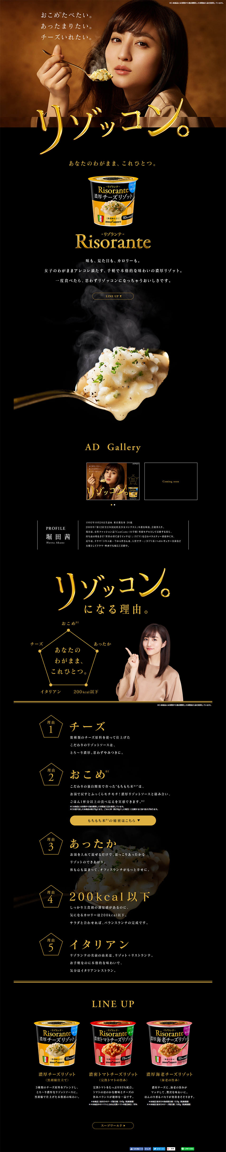 リゾランテのLPデザイン（食品／ブラック系／シンプル系）PC版