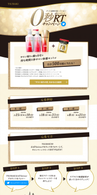 0-Second RT Campaign Page | TSUBAKI LP design (Services, Insurance, and Finance / Gold tones / Refined style) PC version