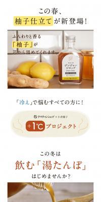 Mirai Ginger Syrup LP design (Health foods, health drinks, and supplements / Brown tones / Natural style) PC version