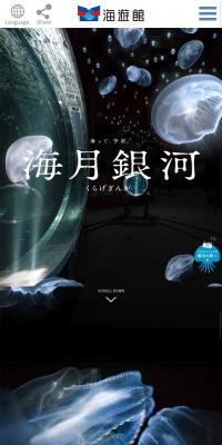 海月銀河のLPデザイン（サービス・保険・金融／ブラック系／神秘系）スマホ版