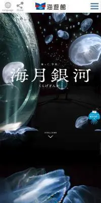 海月銀河のLPデザイン（サービス・保険・金融／ブラック系／神秘系）スマホ版