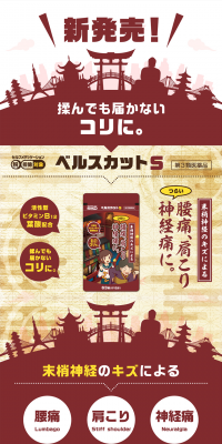 Berscut S LP design (Health and Beauty Foods and Supplements / yellow / Lively type) PC version