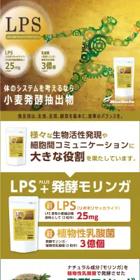 ＬＰＳサプリ モリンガのLPデザイン（健康・美容食品・サプリ／ゴールド系／健康・癒し系）PC版