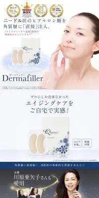 DermafillerのLPデザイン（美容サービス／ブルー系／キレイ系）PC版