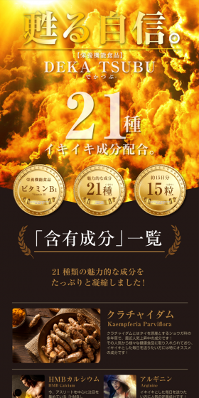 Dekatsubu LP design (Health and Beauty Foods and Supplements / Gold tones / Strong) PC version