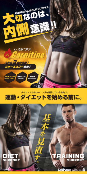 L-Carnitine EX LP design (Health and Beauty Foods and Supplements / yellow / Cool style) PC version