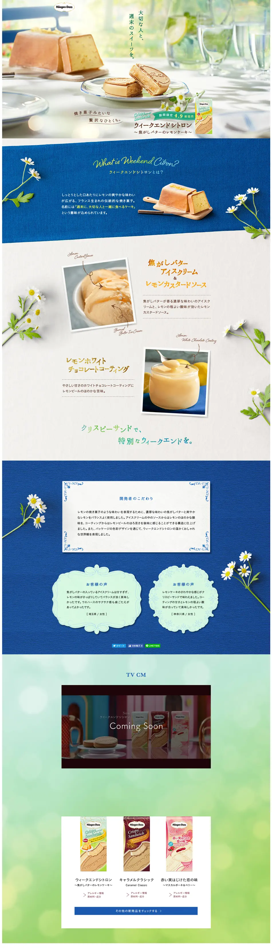 ウィークエンドシトロンのLPデザイン（洋菓子／ブルー系／かわいい系）PC版