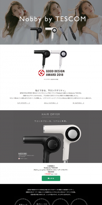 Professional Protect Ion Hair Dryer LP design (Consumer electronics / Black-colored / Simple) PC version