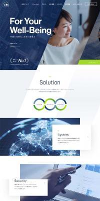 Universal Business Solutions LP design (Businesses, companies, stores / Shades of blue / Simple) PC version