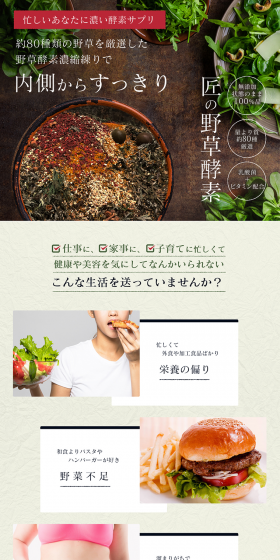 Takumi's Vegetable Enzyme LP design (Health and Beauty Foods and Supplements / Beige tones / Health and Wellness) PC version