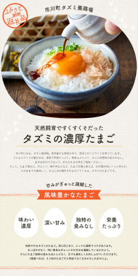 Tazumi's Eggs LP design (food / Beige tones / Refined style) PC version