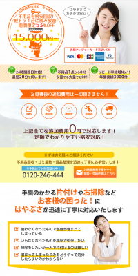Unwanted Item Collection LP design (Businesses, companies, stores / Orange tones / Trust and Safety) PC version