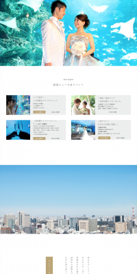 Sunshine Sky Bridal LP design (Services, Insurance, and Finance / Gold tones / Simple) PC version