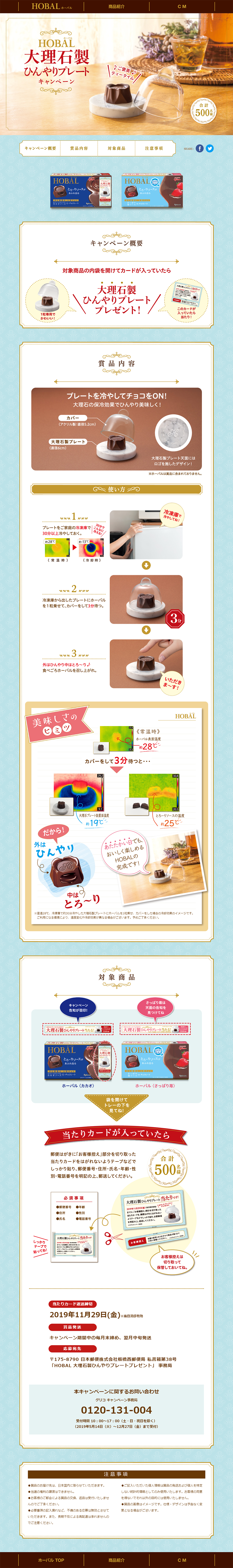 HOBAL LP design (Services, Insurance, and Finance / Brown tones) PC version