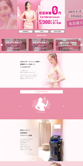 Subscription-based self-esthetic salon LP design (Beauty services / Pink shades / Refined style) PC version