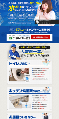 Plumbing Repair and Cleaning LP design (Businesses, companies, stores / Shades of blue / Lively type) PC version