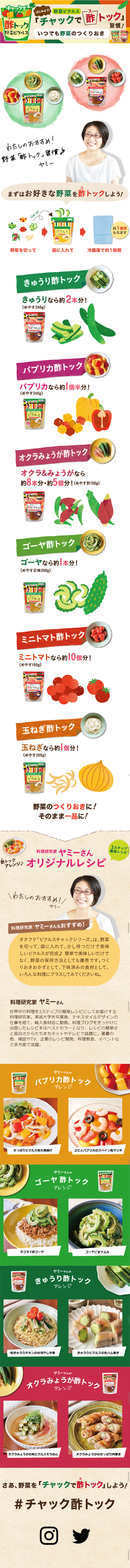 Pickles Chack Series LP design (food / Multi-color type / Refined style) Mobile version