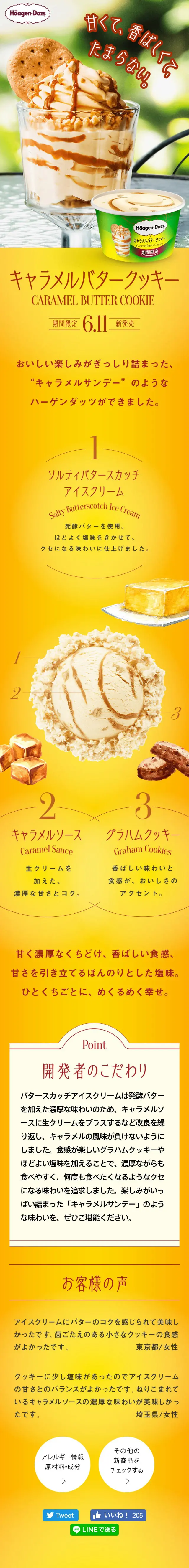 キャラメルバタークッキーのLPデザイン（スイーツ・スナック菓子／イエロー系）スマホ版
