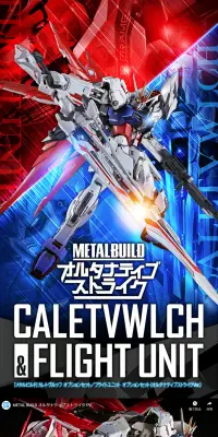 METAL BUILD エヴァンゲリオン2号機のLPデザイン（玩具・ホビー・フィギュア／ブラック系／かっこいい系）PC版