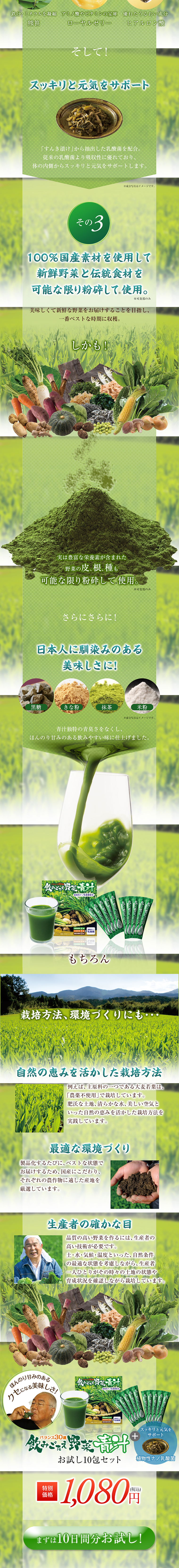Hearty Vegetable Aojiru LP design (Health and Beauty Foods and Supplements / Orange tones / Health and Wellness) PC version