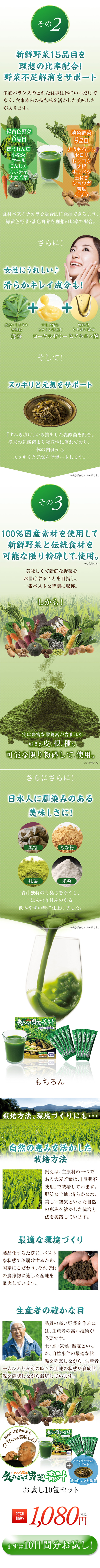 Hearty Vegetable Aojiru LP design (Health and Beauty Foods and Supplements / Orange tones / Health and Wellness) Mobile version