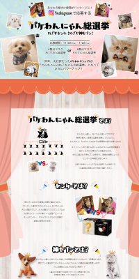 Pakewannyan Sōsenkyo LP design (Services, Insurance, and Finance / Beige tones / Cute style) PC version
