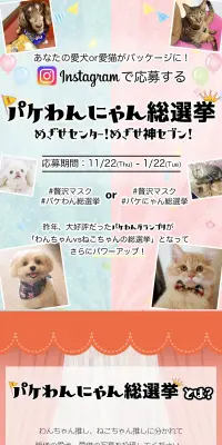 パケわんにゃん総選挙のLPデザイン（サービス・保険・金融／ベージュ系／かわいい系）スマホ版