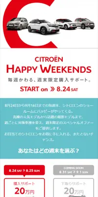 週末限定のスペシャルオファーのLPデザイン（サービス・保険・金融／ホワイト系／シンプル系）スマホ版