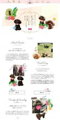 トイプードルのLPデザイン(ペット・花・DIY工具/ホワイト系/かわいい系)PC版