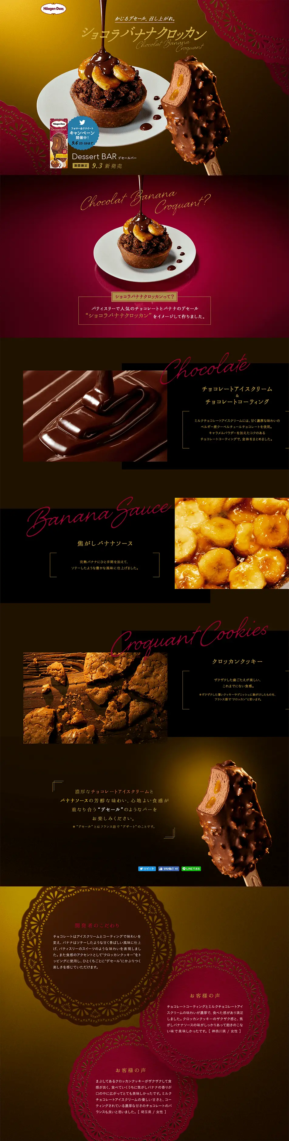 ショコラバナナクロッカンのLPデザイン（スイーツ・スナック菓子／ブラウン系）PC版