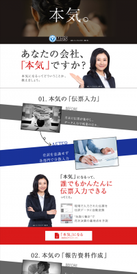 Management Control System LP design (Services, Insurance, and Finance / Shades of blue / Simple) PC version