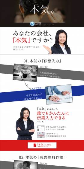 Management Control System LP design (Services, Insurance, and Finance / Shades of blue / Simple) PC version